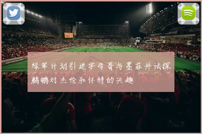 绿军计划引进字母哥与墨菲并试探鹈鹕对杰伦和怀特的兴趣