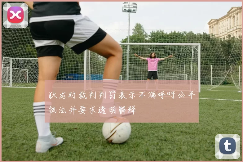 狄龙对裁判判罚表示不满呼吁公平执法并要求透明解释