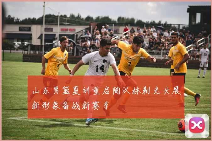 山东男篮夏训重启陶汉林剃光头展新形象备战新赛季