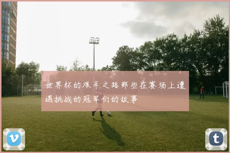 世界杯的艰辛之路那些在赛场上遭遇挑战的冠军们的故事
